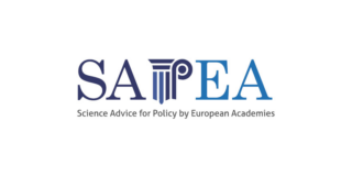 sapea logo