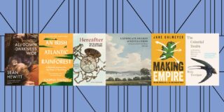 Six book colourful book covers are displayed in two rows, three on the top, three on the bottom, against a blue background with an abstract illustration of a bookshelf.